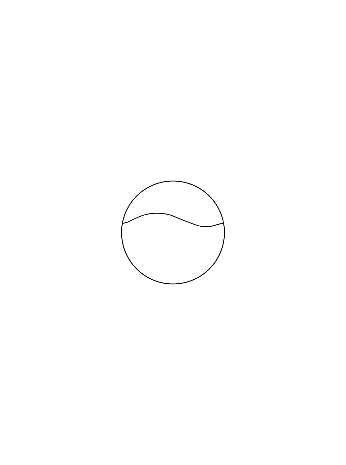 Micro