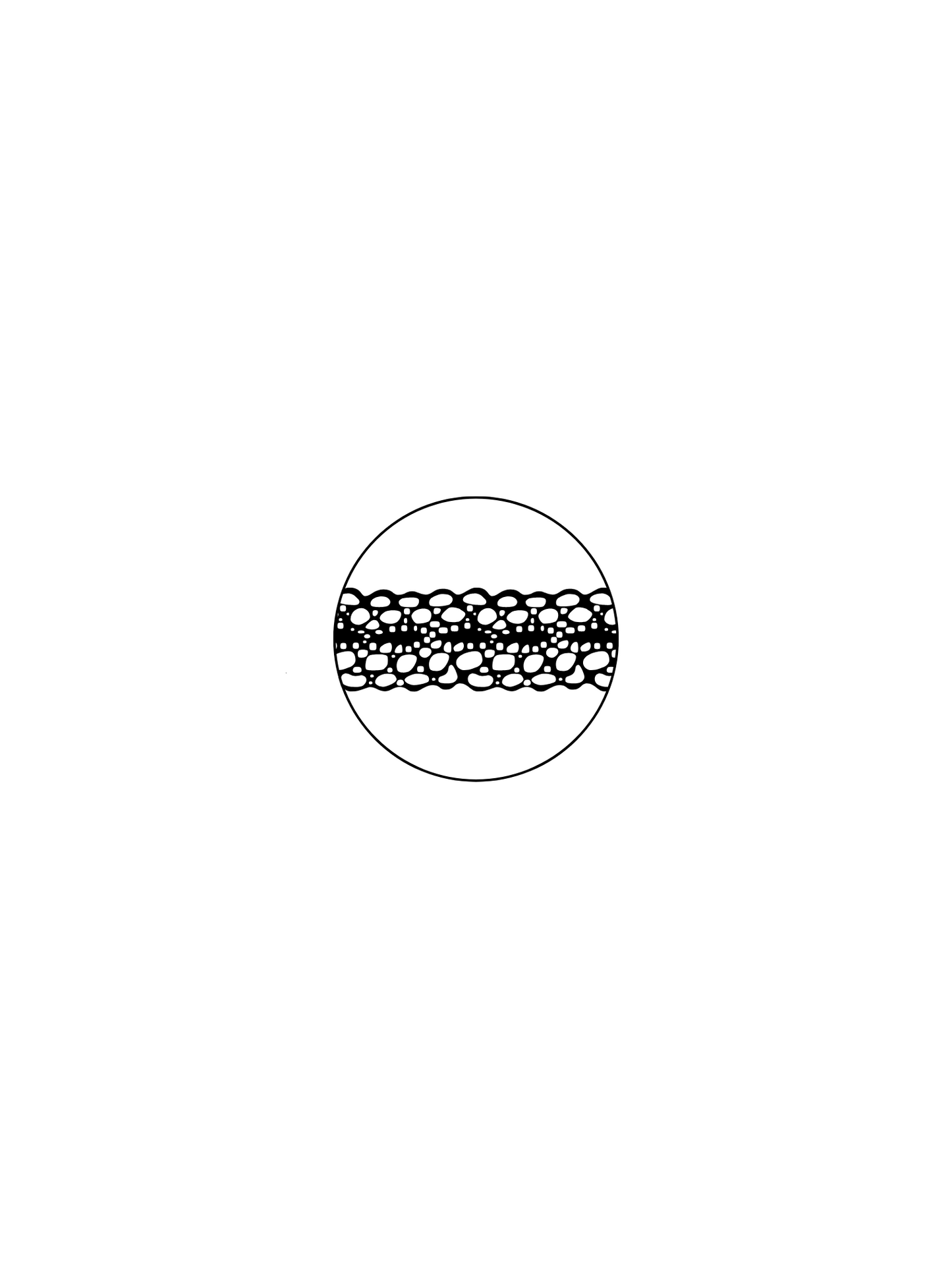 Minimal Loop Lace