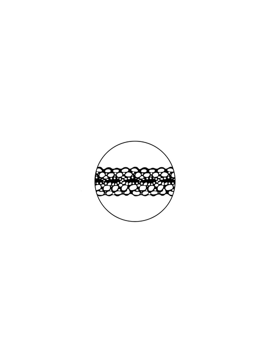 Minimal Loop Lace